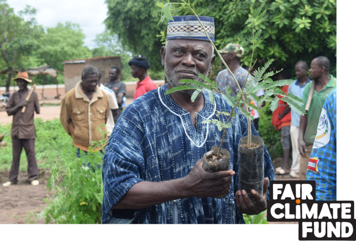 Birds Bees and Business project restoring nature